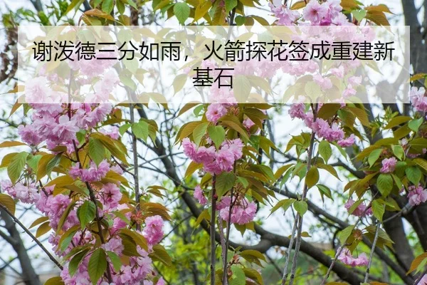 谢泼德三分如雨，火箭探花签成重建新基石