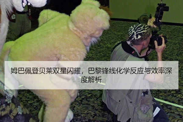 mu-ba-pei-deng-bei-lai-shuang-xing-shan-yao-ba-li-feng-xian-hua-xue-fan-ying-yu-xiao-lv-shen-du-jie-xi-2-402.jpg