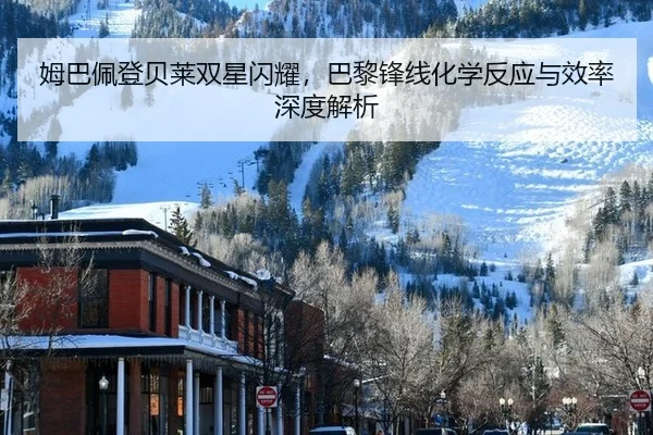 mu-ba-pei-deng-bei-lai-shuang-xing-shan-yao-ba-li-feng-xian-hua-xue-fan-ying-yu-xiao-lv-shen-du-jie-xi-3-907.jpg