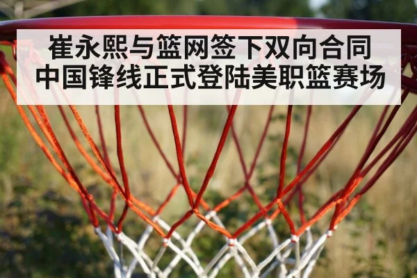 basketball hoop net
