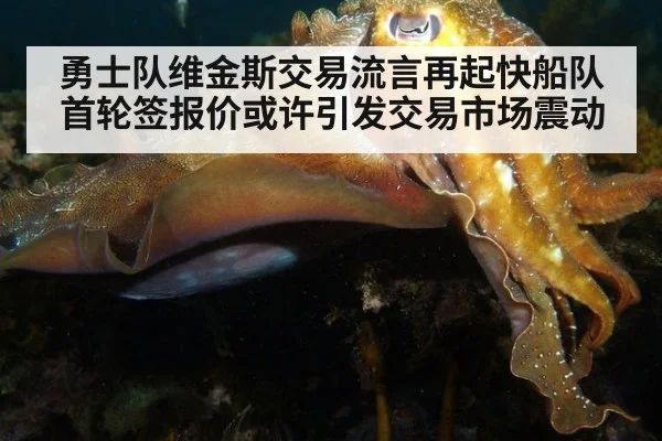 勇士队维金斯交易流言再起快船队首轮签报价或许引发交易市场震动
