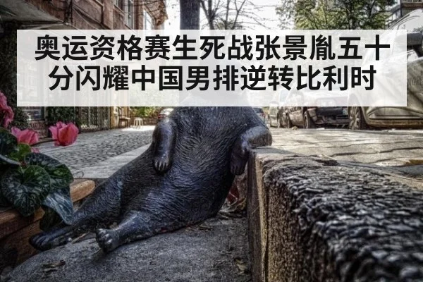 奥运资格赛生死战张景胤五十分闪耀中国男排逆转比利时
