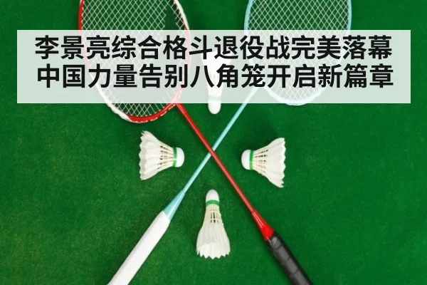 李景亮综合格斗退役战完美落幕 中国力量告别八角笼开启新篇章